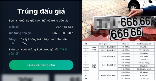 Vừa trúng đấu giá biển số a