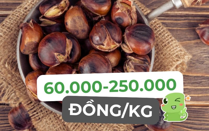 Understanding html code