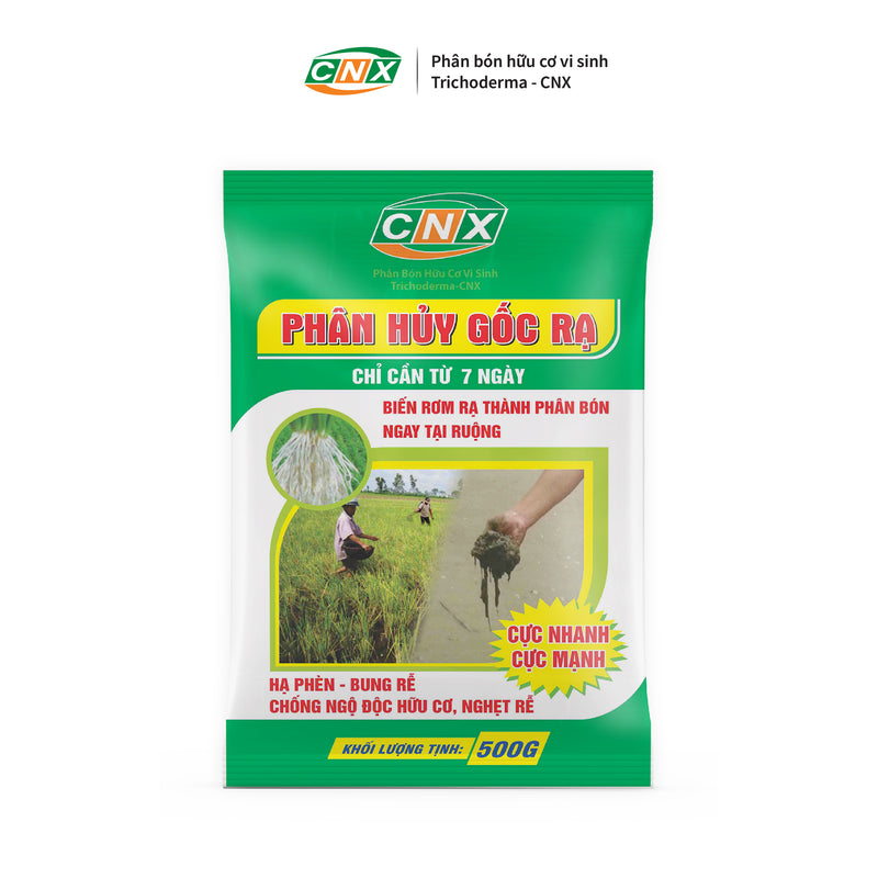 Những sản phẩm phá hủy từ Đá gốc - khám phá quá trình hình thành Đất