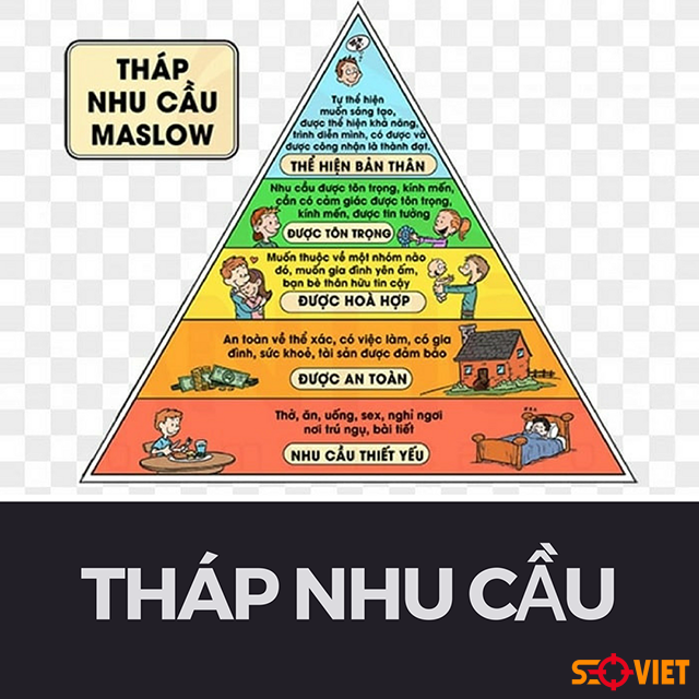 Bậc trong tháp nhu cầu maslow và cách ứng dụng thực tế